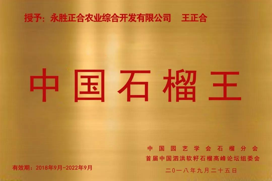 厉害！永胜正合果业蝉联两届“中国石榴王”