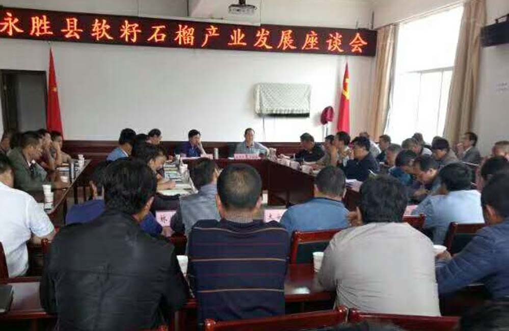 8月9日县领导软籽石榴产业发展座谈会