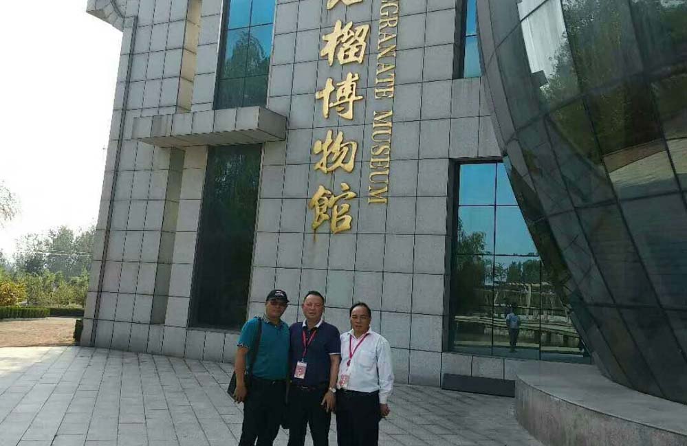 9月28日，山东枣庄国家石榴产业联盟大会