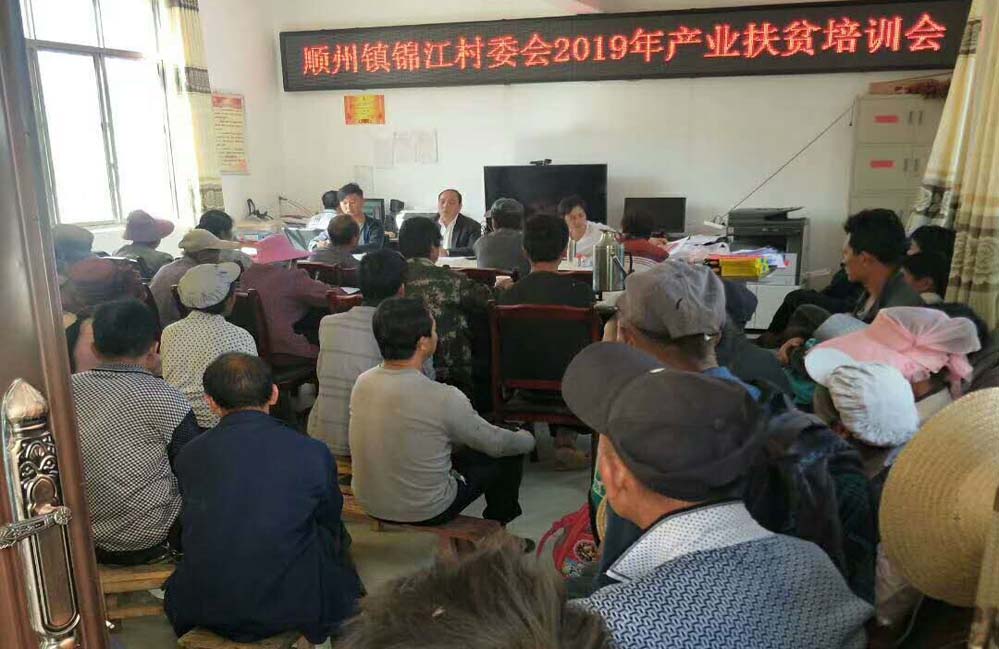 4月19日，到锦江村委会进行产业帮扶培训